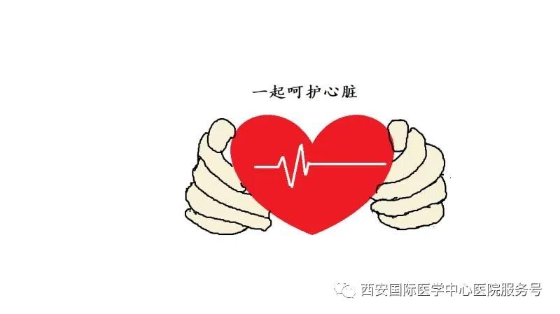 【科普】呵護(hù)心臟，從現(xiàn)在做起