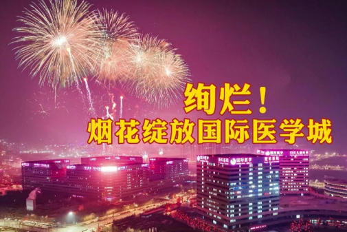 絢爛！煙花綻放國(guó)際醫(yī)學(xué)城